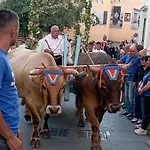 Pensionat Casa Del Corso Dorgali