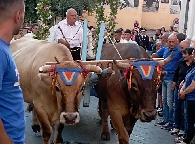 Гостевой дом Casa Del Corso Доргали